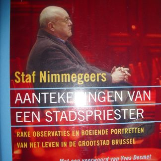 Aantekeningen van een stadspriester