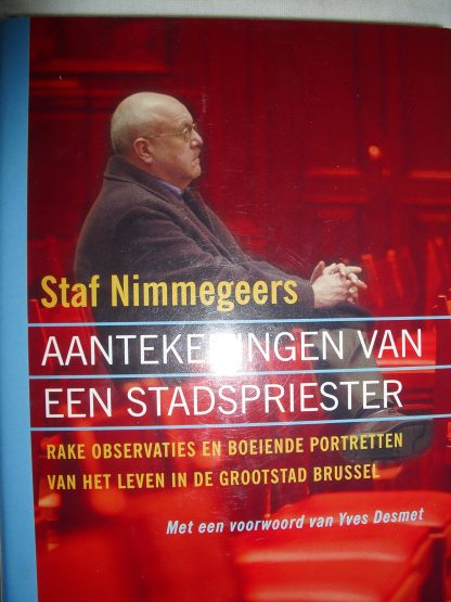 Aantekeningen van een stadspriester