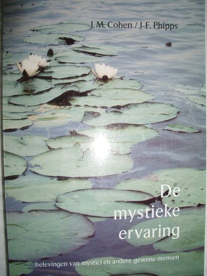 De mystieke ervaring