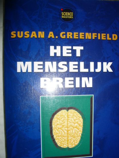 Het menselijk brein