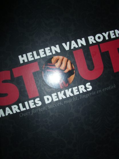 Stout. Over flirten, succes, macht, lingerie en erotiek