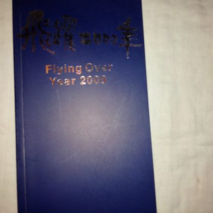 Flying over Year 2000