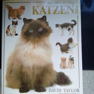 Mein grosses Katzenbuch
