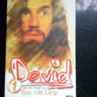 David. Naar een verhaal van Hugo van Laere