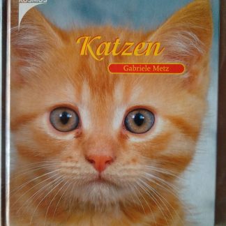 Katzen