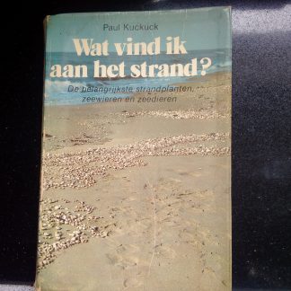 Wat vind ik aan het strand?