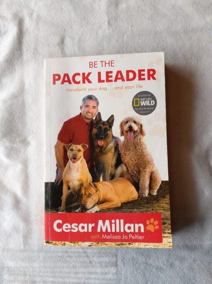 Be the pack leader