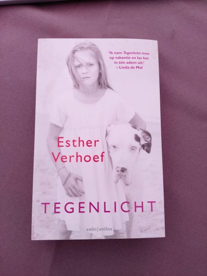 Tegenlicht