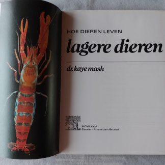 Hoe dieren leven: lagere dieren