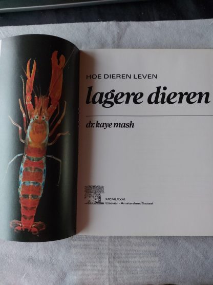 Hoe dieren leven: lagere dieren