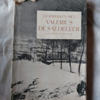 Gesprekken met Valerius de Saedeleer