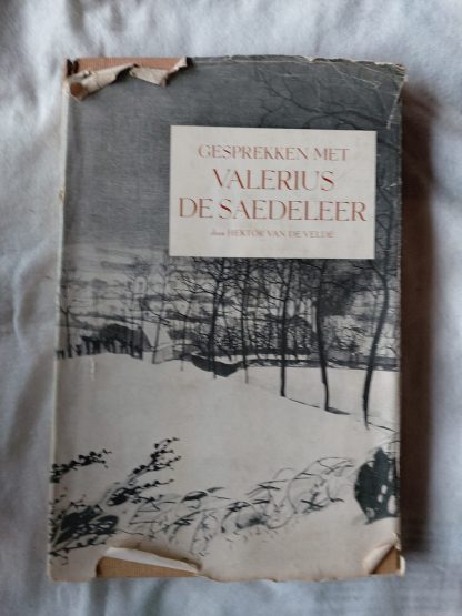 Gesprekken met Valerius de Saedeleer