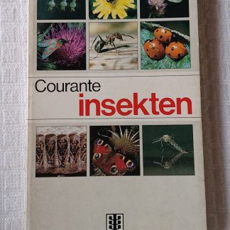 Courante insekten