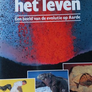 Het raadsel van het leven