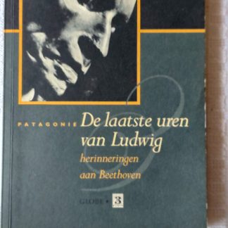 De laatste uren van Ludwig