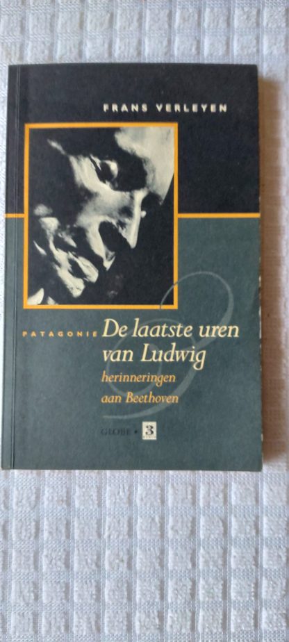 De laatste uren van Ludwig
