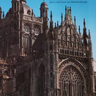 De Sint Jan van 's-Hertogenbosch