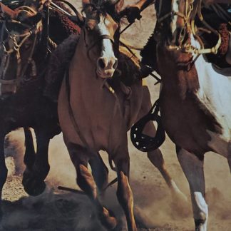 L'Argentine