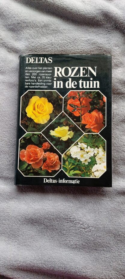 Rozen in de tuin