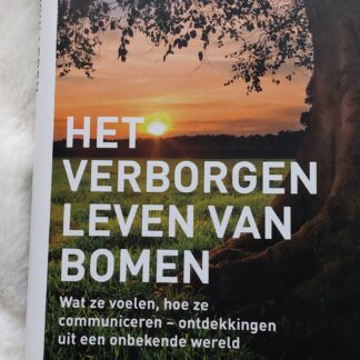 Het verborgen leven van bomen