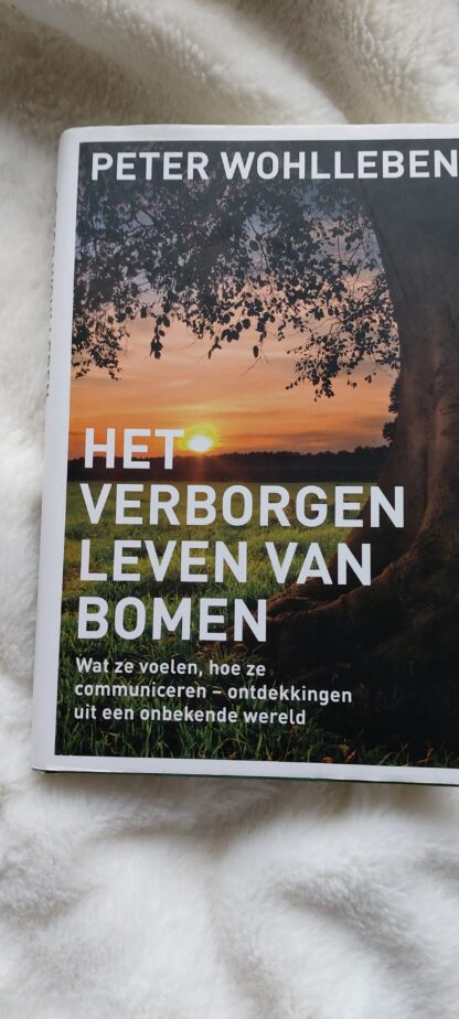 Het verborgen leven van bomen