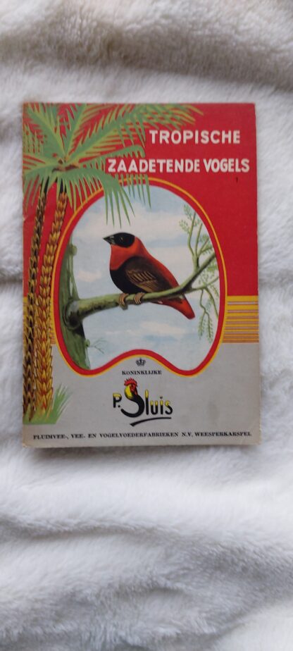 Tropische zaadetende vogels