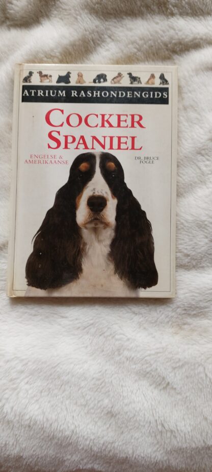 Cocker Spaniel