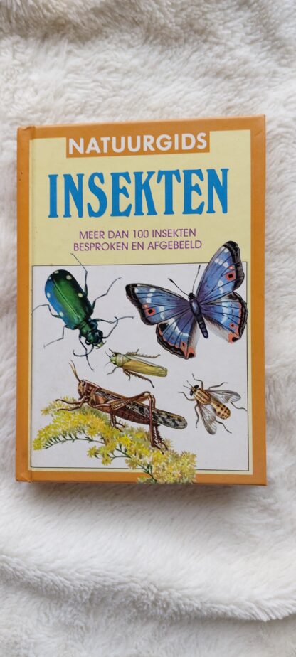 Insekten