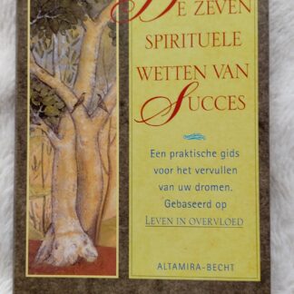 De zeven spirituele wetten van succes