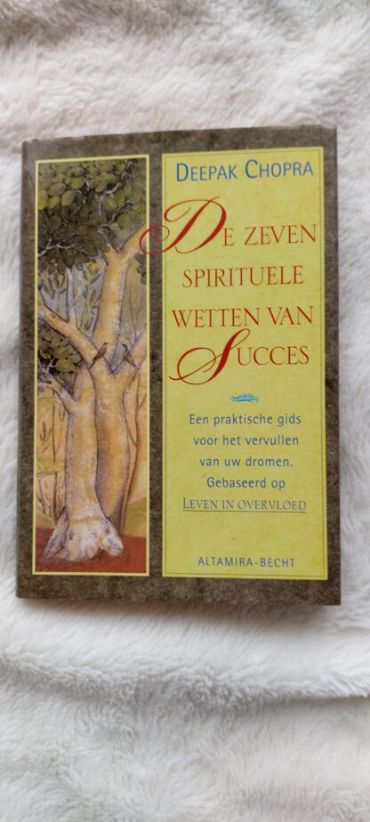 De zeven spirituele wetten van succes
