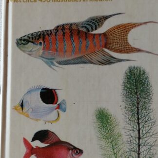 Elseviers aquariumvissengids