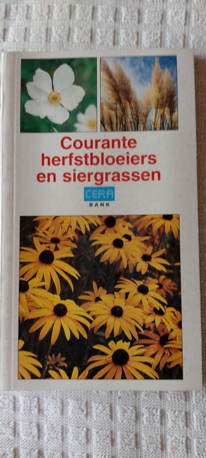Courante herfstbloeiers en siergrassen