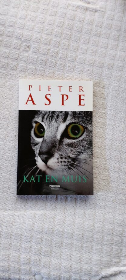 Kat en muis
