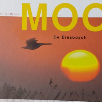 Mooi. De Biesbosch