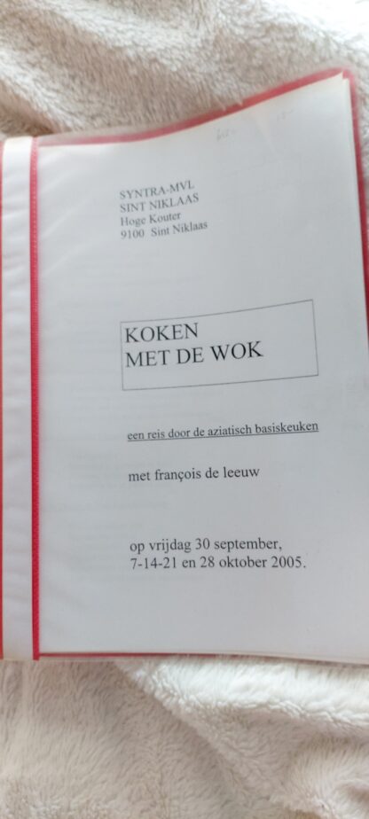 Koken met de wok. Een reis door de Aziatische basiskeuken